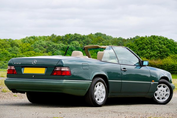 Welche spezifischen Trainingsmethoden eignen sich für taube Hunde?