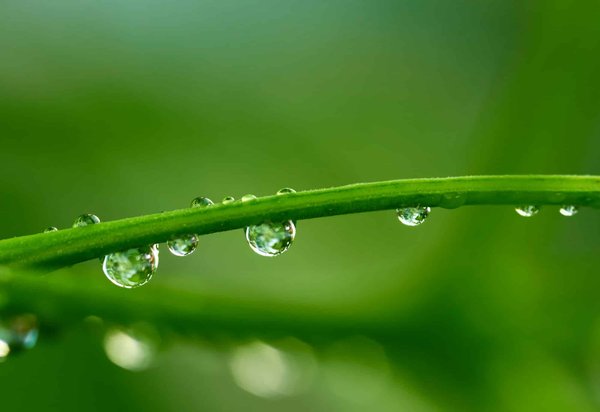 Welche sind die innovativsten Spielzeuge zur Förderung der STEM-Kompetenzen bei Kindern?